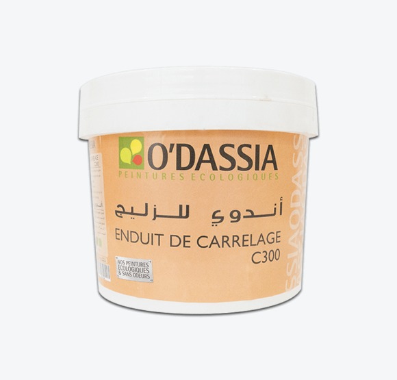 Enduit De Carrelage C 300 4Kg - détail produit